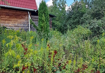 Продам дом в д.Сергеево Чеховского района Продам дом в д.Сергеево Чеховского района